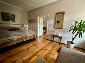 The Art Ranch Dukuri / zils - Image 5