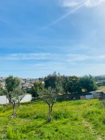 Dar Ribeh - Image 5