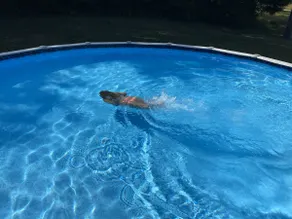 A Perfect Upstate Family Getaway with a Pool - Image 5