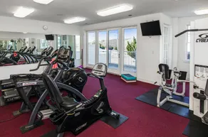 Waterfront 2 Story Penthouse! 4Bd/3Bth - Image 5