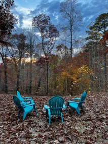 Ruby’s Secret Getaway in the Gorge / Hollerwood - Image 4