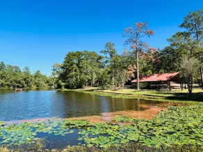 Modern Country Home in Magnolia - Image 5