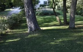 Quiet house and greenery - Image 2