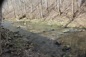 Creekside Cabin - Image 3