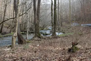 Creekside Cabin - Image 4
