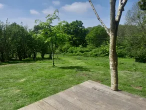 Unique Off Grid Cabin on Private Land - Image 5