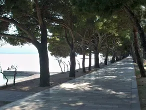 Apartman Aracic - Image 5