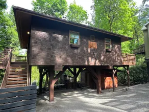 Mood in Wood with private serenity in the city - Image 2
