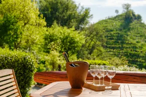 Le Vigne Panoramiche - Image 4