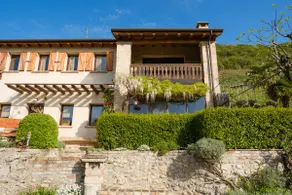 Le Vigne Panoramiche - Image 5