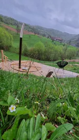 The Truffle Nest - Image 5