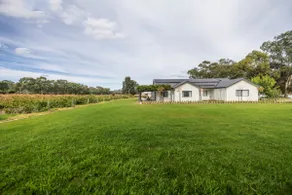 CASALE ESTATE - Image 3