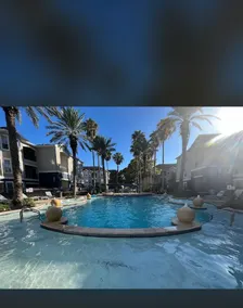 Webster luxury resort like apartment! - Image 4