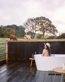 Wonder Wagon at Trelan Farm ~ with outdoor bath - Image 2