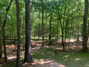 Bluegill Getaway - Image 5