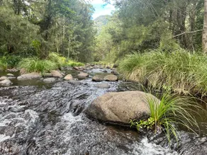 Private luxury in the mountains with running creek - Image 3