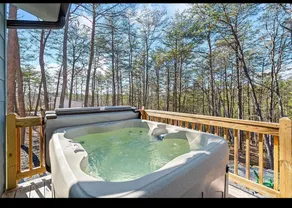 Lake Lure Stay and Play - Image 2