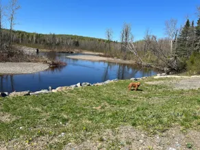 Beautiful Relaxing Place - Image 5