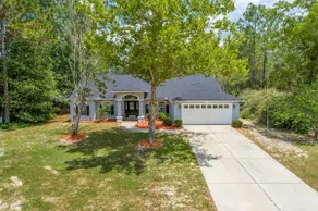 Citrus Springs Oasis-Rainbow River, Manatees, Golf - Image 4