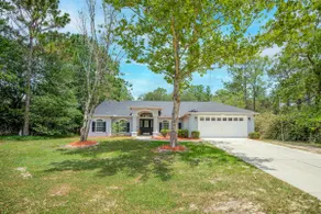 Citrus Springs Oasis-Rainbow River, Manatees, Golf - Image 3