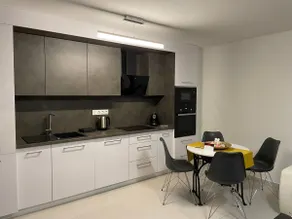 Modern, garden connection, gated parking, Netflix - Image 4