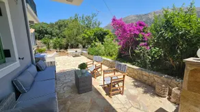 The Blooming House - Image 2