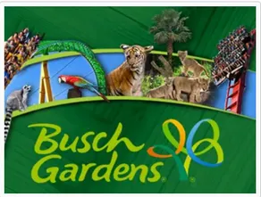 A Comfortable Family Home Close to Busch Gardens! - Image 3