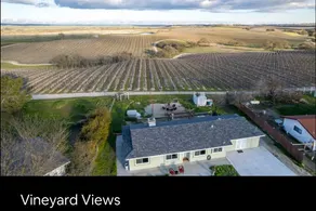 Grape Escape Farmhouse Paso Robles Vineyard views - Image 4