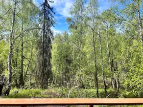 Log cabin close to Big Su River - Image 2