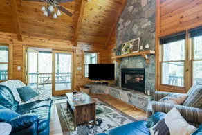The Cabin in the Mountains - Image 3