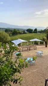 Vineyard Stay Donna Vittori – Agricultural Village - Image 5