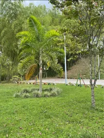 Angel house in the heart of the Coffee Region - Image 5
