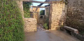 Wisteria - Image 3