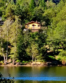 Massive240° Lakefront View Spacious Family Retreat - Image 5