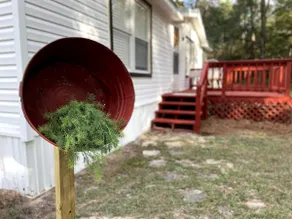 Tallahassee & Coastal Hideout - Image 5