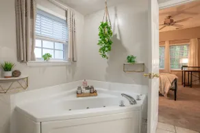 Double Suite Mountain Retreat - Image 4