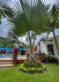 Spectacular rural colonial estate in La Vega. - Image 5