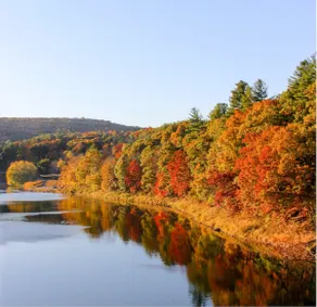 Catskills dreamy country house, pet friendly! - Image 3