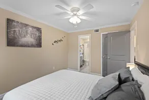 Pet Friendly Home Near Park - Image 4