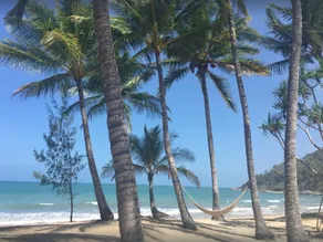 Your Private, Ocean-Front Sanctuary At Oak Beach - Image 4
