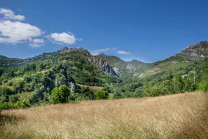 Discover a hidden gem! - Image 3
