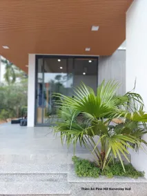 Thien An Pine Hill Homestay Hue - Image 5