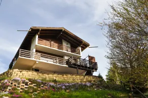 Family-friendly chalet Champex-Lac w/ indoor sauna - Image 3
