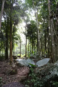 Cabana Ventuno - Image 5