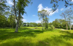 Peaceful Woodland Retreat - spacious apartment - Image 3