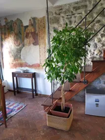 Holiday home ”The Fresco” (Pilzone, Iseo) - Image 2