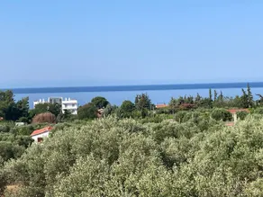 Swiss house with ocean view - Image 5