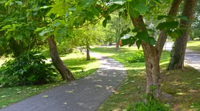 The Cottage less than 1 mile to Caesar's Casino! - Image 3