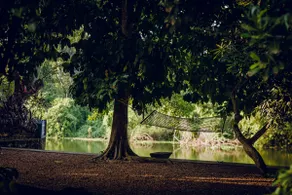 Meenachil Creek Homestay - Image 3