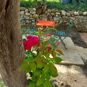 ”Il Cortiglio” Residence - Tropea Hills (1) - Image 3